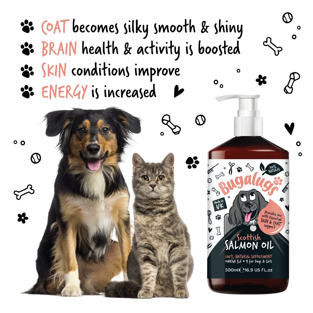 Dog and sales cat vitamins