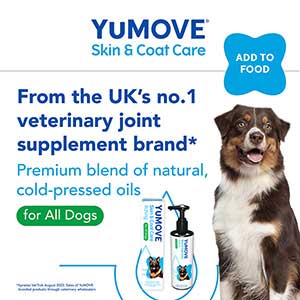 YuMOVE Skin and Coat Care Itching Supplement for Adult Dogs 250ml