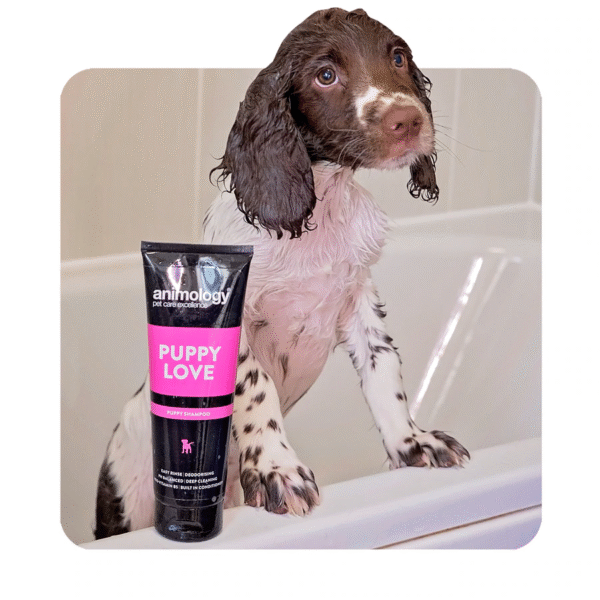 Animology Puppy Love Dog Grooming Shampoo 250ml - Image 3