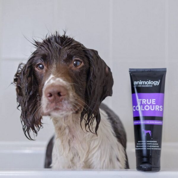 Animology True Colours Dog Grooming Shampoo 250ml - Image 3