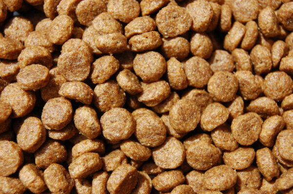 Dr John Puppy Chicken Dry Dog Food 10kg - Image 3